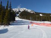 Gemakkelijke piste Cascade