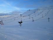 Sneeuw zover het oog reikt