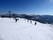 Uitzicht vanaf de Medvědín over het Reuzengebergte
