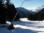 Lansbesneeuwing in het skigebied