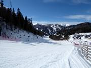 Piste nr. 2 Kolašin 1600