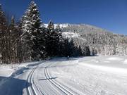 De loipe loopt langs de pashoogte