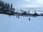 Zeer geschikt voor beginners