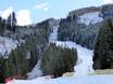 Val di Fiemme (Fleimstal): beoordelingen van skigebieden – Beoordeling Alpe Cermis – Cavalese