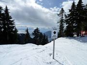 Glades - uitgedunde bosafdalingen voor gevorderden