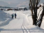 Langlaufloipes in het Pillerseetal