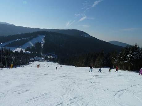 Bühl-Bühlertal: Grootte van de skigebieden – Grootte Hundseck – Bühlertallifte