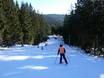 Skigebieden voor beginners in Zuidwest-Tsjechië (Jihozápad) – Beginners Špičák