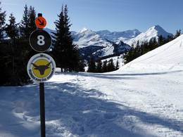 Rinderberg/Saanerslochgrat/Horneggli – Zweisimmen/Saanenmöser/Schönried/St. Stephan