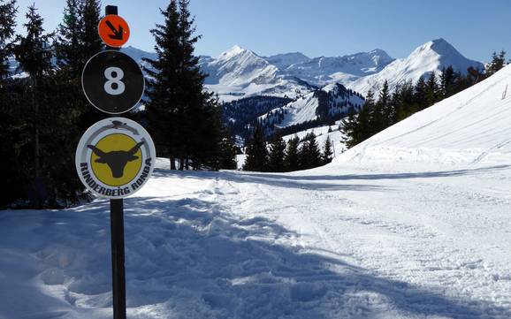 Skigebieden voor gevorderden en off-piste skiërs Gstaad – Gevorderden, off-piste skiërs Rinderberg/Saanerslochgrat/Horneggli – Zweisimmen/Saanenmöser/Schönried/St. Stephan