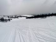 Afdaling Frognerbakken