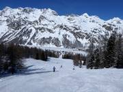 Piste Prasüra (dalafdaling)