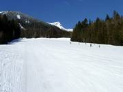 Gemakkelijke en brede piste Incline