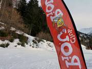 De ESF mascotte Piou-Piou