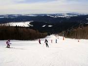 Middelzware afdaling bij de Almberg-stoeltjeslift