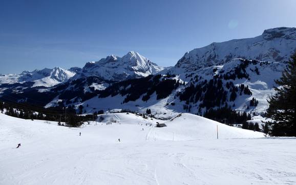 Hoogste skigebied in Lenk-Simmental – skigebied Adelboden/Lenk – Chuenisbärgli/Silleren/Hahnenmoos/Metsch