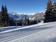 Panoramaloipe op de Kristberg