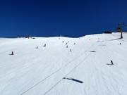 Piste Poligon Triglav-FIS