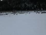 Beginnersgebied met sleeplift in Flachauwinkl