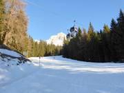 Dalafdaling Ochsenweide