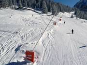 Sneeuwlansen langs de pistes