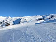 Pistes Tétras en Renard (La Rosière)