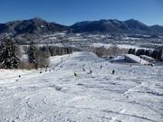 Gemakkelijke Jaudenhang