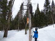 Belevingspiste voor kinderen