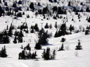 Galtenheisen - Sleeplift met T-beugel/Ankerlift