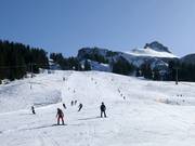 Makkelijke piste bij de stoeltjeslift Rossstelle in Mellau