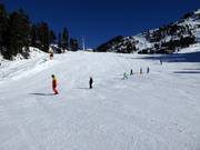 Beginners bij de Weselelift