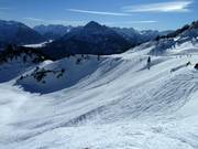 Boomvrij freeride-terrein tussen de pistes
