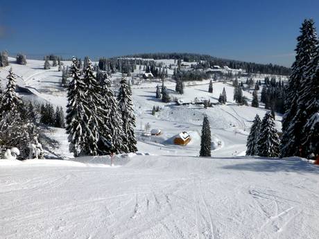 Lörrach: Grootte van de skigebieden – Grootte Feldberg – Seebuck/Grafenmatt/Fahl