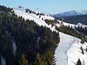 Uitzicht op de piste Rainer nr. 21