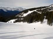 Piste nr. 56 Deer Run