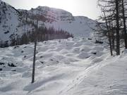 Buckelpiste Rock Garden