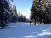 Gemakkelijke piste Seehof