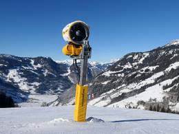 Dorfgastein/Großarltal