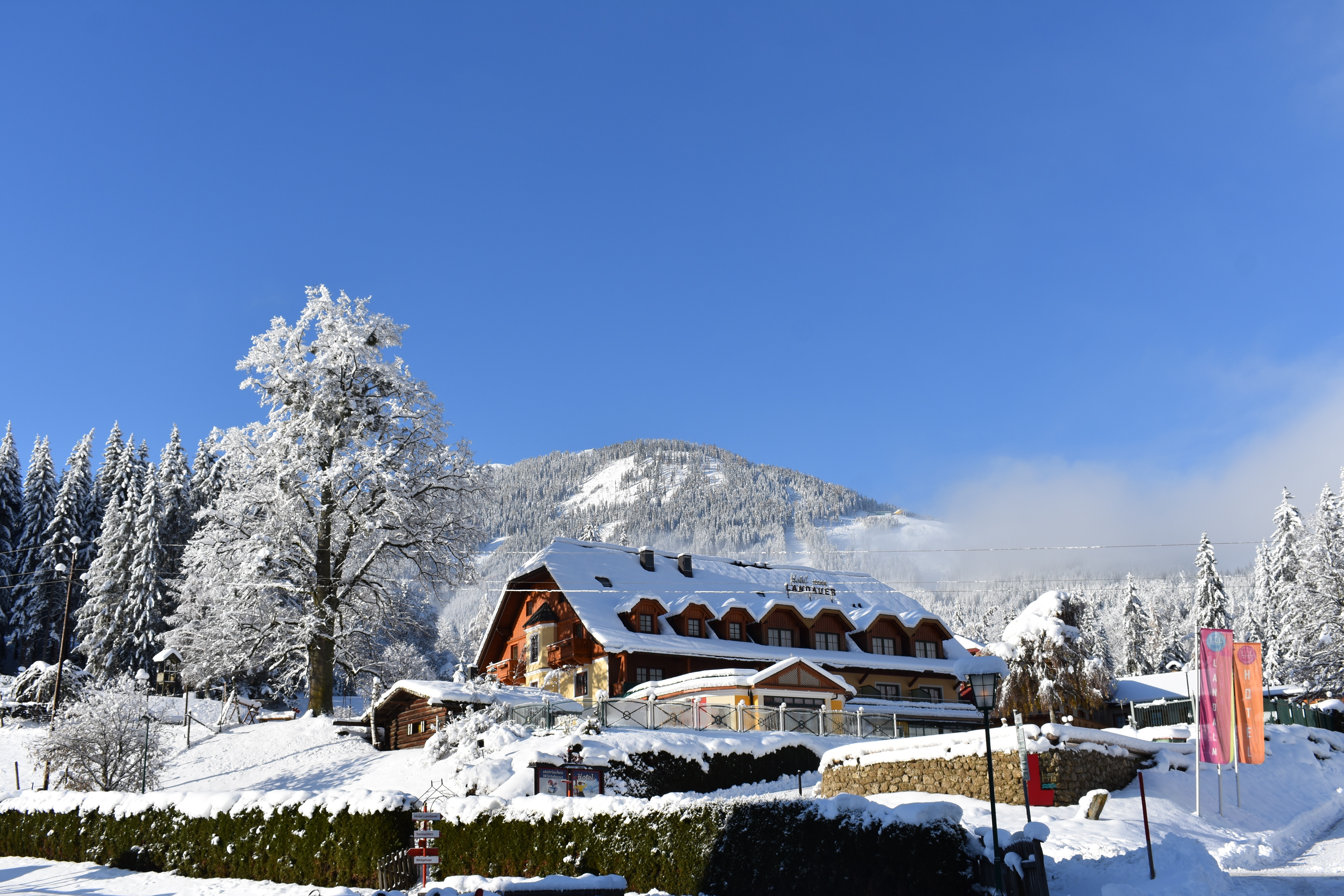 Hotel Vitaler Landauerhof