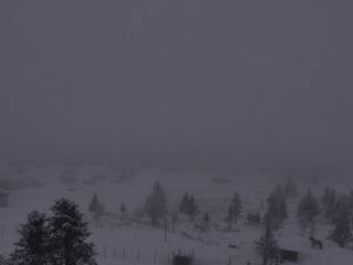 Storefjellstølen Fjellandsby