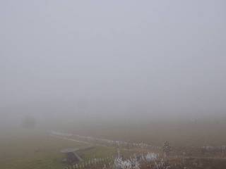 Herchenhainer Höhe - Vogelschmiede