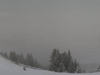 Brandnertal - Loischkopf