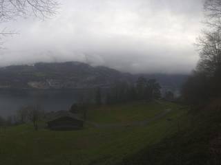 Rütli Mccardell GmbH