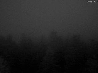 Break Sokos Hotel Koli 360