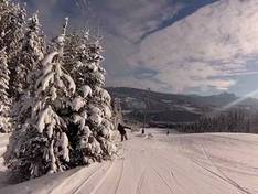 Video Wapiti Ski Hill – Elkford