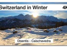 Video Disentis