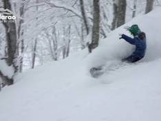 Video Madarao/Tangram