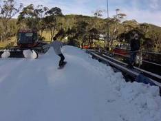 Video Corin Forest