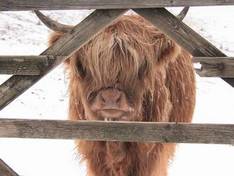 Video Lake District Ski Club – Raise