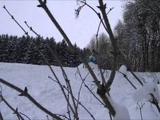 Video Hanslmühle – Mauern